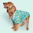 Pet Set Go Beach Club Cotton Shirt for Dogs (Blue) Discount