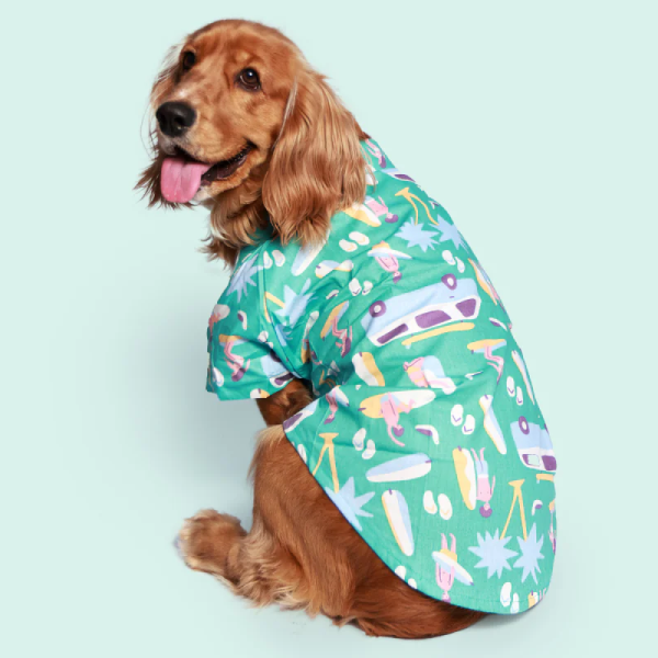 Pet Set Go Beach Club Cotton Shirt for Dogs (Blue) Discount