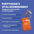 Bark Out Loud Chicken & Ancient Grains Puppy Dry Food For Cheap