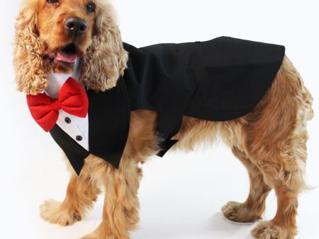 Dogobow Tuxedo Suit for Dogs and Cats (Black) (Get a Bow Free) Sale