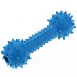 Pet Vogue Bone Shaped Rubber Chew Toy and Bouncy Rubber Ball Toys Combo for Dogs Sale