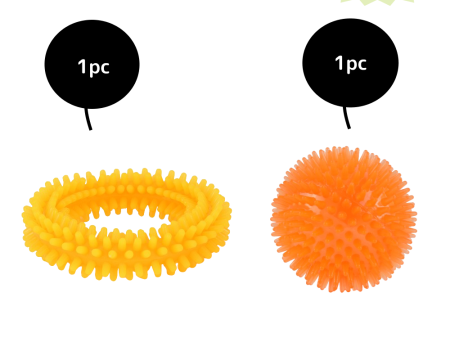 Basil Teething Ring Chew Toy and Squeaky Rubber Ball Toy Combo for Dogs on Sale