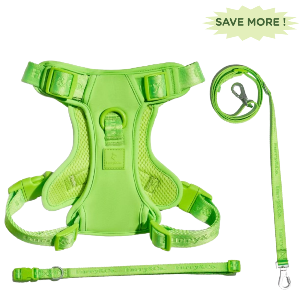 Furry & Co Ultra Harness, Leash and Collar for Dogs Combo (Limelight) - L Sale