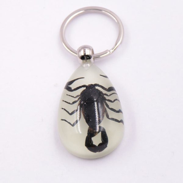 Wholesale 6pcs Real Insect Specimens Large Amber Luminous Keychain Cheap