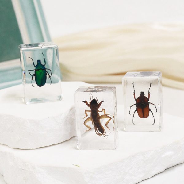 Wholesale 6pcs Handmade Glue Resin Insect Transparent Specimen Ornaments For Discount