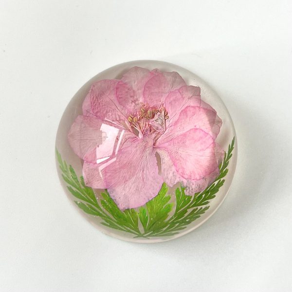 Wholesale 6pcs High Transparent Hemisphere Resin Craft Dried Flower Ornaments For Sale