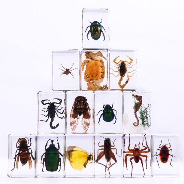 Wholesale Handmade Dripping Resin Insect Transparent Animal Specimen Ornaments Cheap