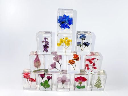 Wholesale 6pcs Handmade Glue Resin Transparent Dried Flower Specimen Ornaments Cheap