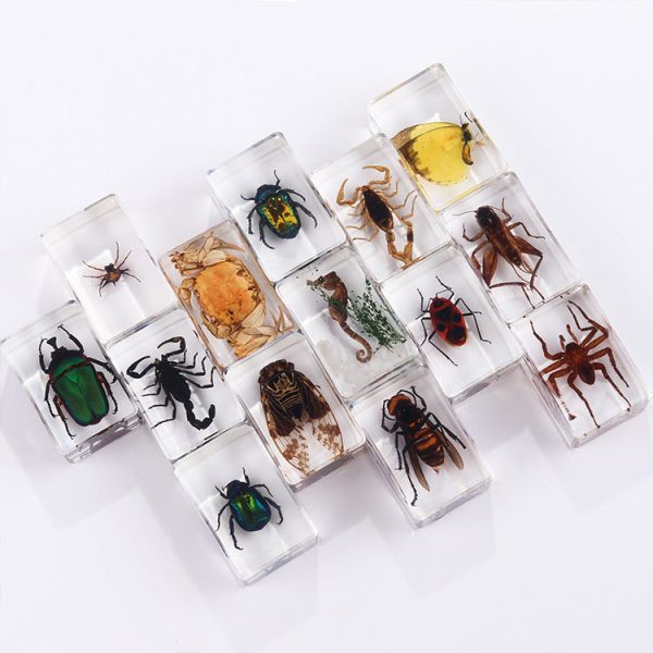 Wholesale 6pcs Handmade Glue Resin Insect Transparent Specimen Ornaments For Discount