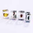 Wholesale 6pcs Handmade Glue Resin Insect Transparent Specimen Ornaments For Discount