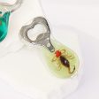 Wholesale 6pcs Real Insect Handmade Glue Bottle Opener Keychain Discount