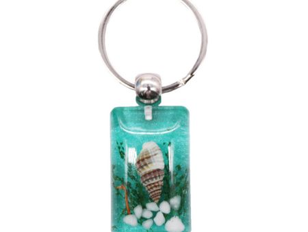 Wholesale 12pcs natural conch shell keychain For Sale