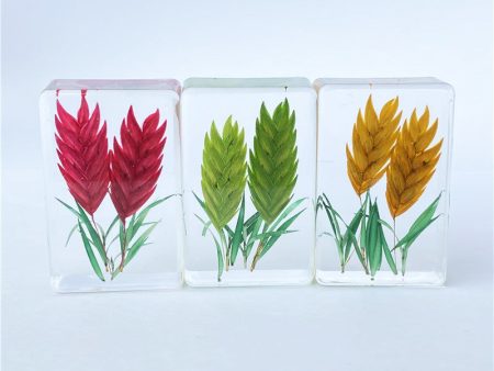 Wholesale 6pcs Handmade Resin Dripping Plant Wheat Ear Specimen Ornaments Supply