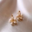 Wholesale Double-sided Cat s Eye Flower Elegant Small Delicate Earrings Hot on Sale