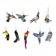 Wholesale Hummingbird Dove Eagle Owl Parrot Acrylic Bird Earrings Discount