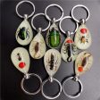 Wholesale 6pcs Real Insect Glue Resin Specimen Keychain Discount