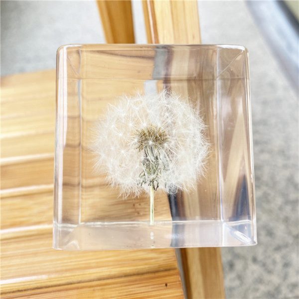 Wholesale 6pcs Resin Crafts High Transparent Square Dandelion Dried Flower Ornaments For Cheap