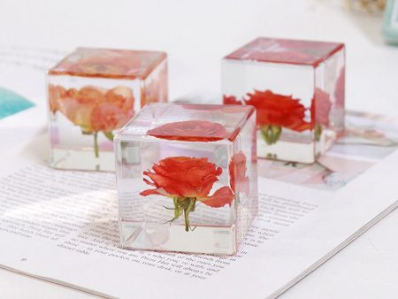 Wholesale 6pcs Orange Juice Rose Dried Flower High Transparent Resin Ornaments Supply