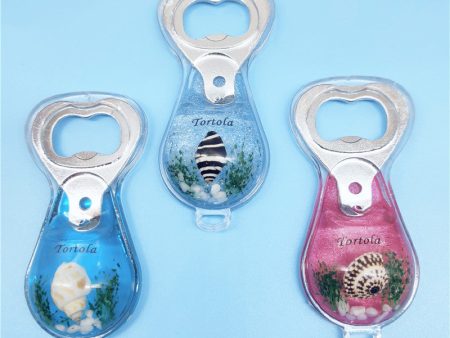 Wholesale 6pcs Multifunctional Beer Bottle Opener Glue Small Conch Keychain For Sale