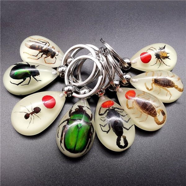 Wholesale 6pcs Real Insect Glue Resin Specimen Keychain Discount