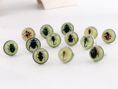 Wholesale 12pcs Luminous Fashion Real Insect Scorpion Resin Rings Online Sale