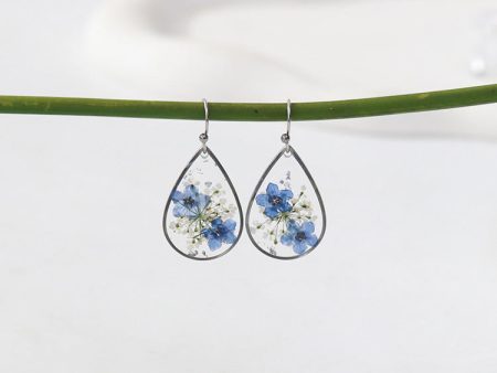 Wholesale 6pcs pair Blue Forget-me-not Handmade Glue Real Flower Earrings Discount