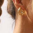 Wholesale Fashion Retro Casual Conch Diamond Earrings Online Sale