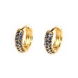 Wholesale Hip Hop Hoop Zircon Earrings For Cheap