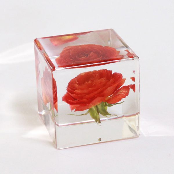 Wholesale 6pcs Orange Juice Rose Dried Flower High Transparent Resin Ornaments Supply