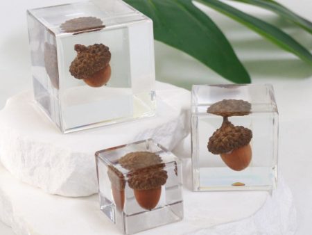 Wholesale 6pcs Acorn Paperweight Desktop Crafts Ornaments For Sale