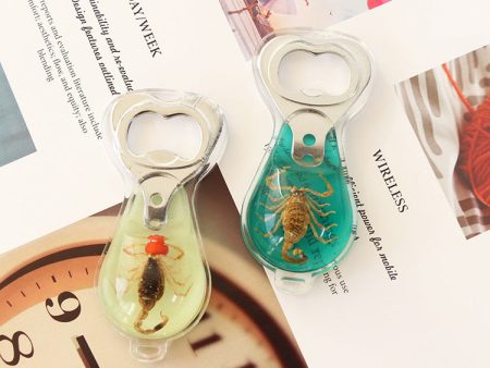 Wholesale 6pcs Real Insect Handmade Glue Bottle Opener Keychain Discount