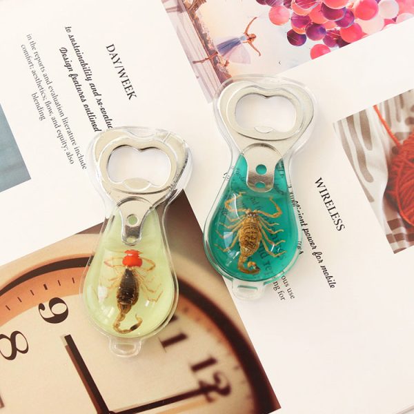 Wholesale 6pcs Real Insect Handmade Glue Bottle Opener Keychain Discount