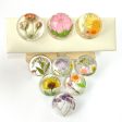 Wholesale 6pcs High Transparent Hemisphere Resin Craft Dried Flower Ornaments For Sale