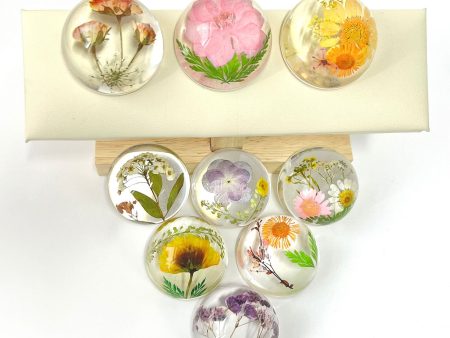 Wholesale 6pcs High Transparent Hemisphere Resin Craft Dried Flower Ornaments For Sale