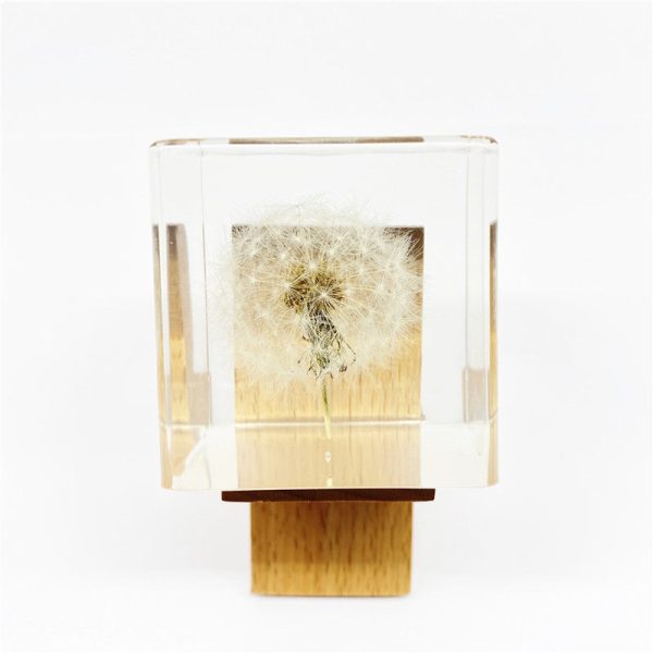 Wholesale 6pcs Resin Crafts High Transparent Square Dandelion Dried Flower Ornaments For Cheap