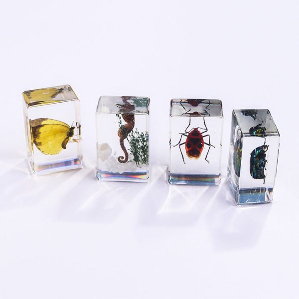 Wholesale Handmade Dripping Resin Insect Transparent Animal Specimen Ornaments Cheap