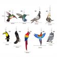 Wholesale Hummingbird Dove Eagle Owl Parrot Acrylic Bird Earrings Discount