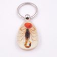 Wholesale 6pcs Real Insect Specimens Large Amber Luminous Keychain Cheap