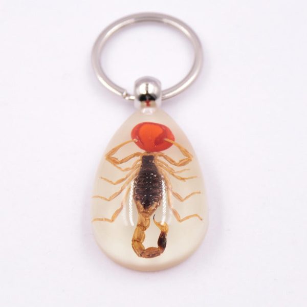 Wholesale 6pcs Real Insect Specimens Large Amber Luminous Keychain Cheap