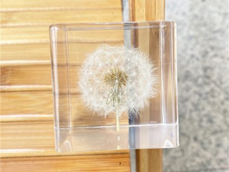 Wholesale 6pcs Resin Crafts High Transparent Square Dandelion Dried Flower Ornaments For Cheap