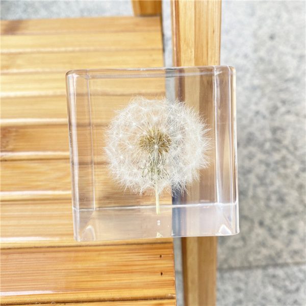 Wholesale 6pcs Resin Crafts High Transparent Square Dandelion Dried Flower Ornaments For Cheap