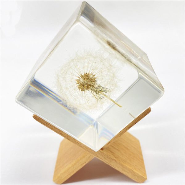 Wholesale 6pcs Resin Crafts High Transparent Square Dandelion Dried Flower Ornaments For Cheap