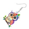 Wholesale Cute Owl Acrylic Earrings Supply