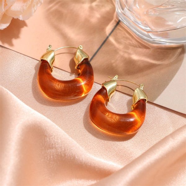 Wholesale French Retro Hong Kong Style Resin Earrings Hot on Sale