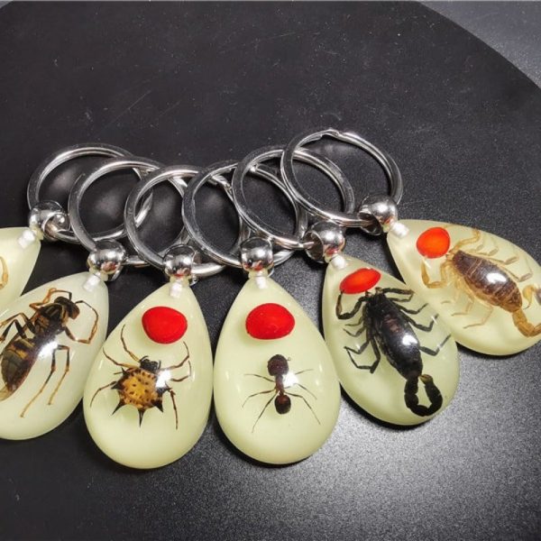 Wholesale 6pcs Real Insect Glue Resin Specimen Keychain Discount