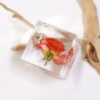 Wholesale 6pcs Orange Juice Rose Dried Flower High Transparent Resin Ornaments Supply