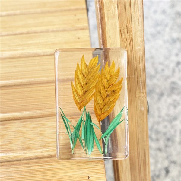 Wholesale 6pcs Handmade Resin Dripping Plant Wheat Ear Specimen Ornaments Supply