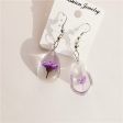 Wholesale 6pcs Handmade Glue-dried Flower Resin Earrings Fashion