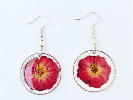 Wholesale 6pcs Real Rose Flowers Simple Natural Real Flower Earrings Sale