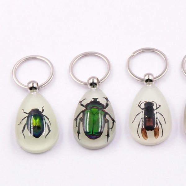 Wholesale 6pcs Real Insect Specimens Large Amber Luminous Keychain Cheap